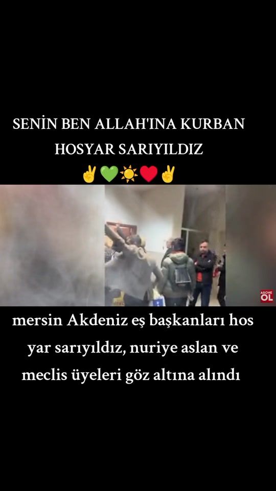 TikTok video thumbnail by sores_van_65