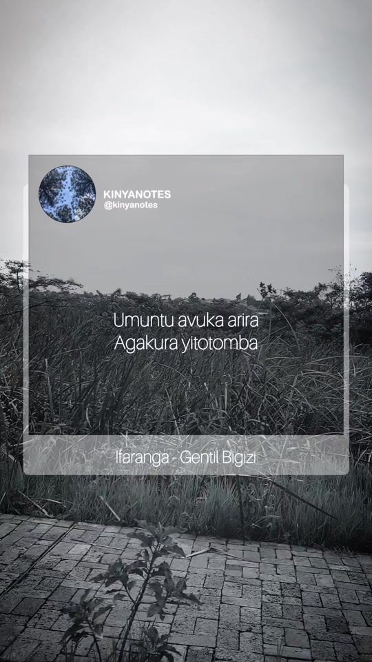 TikTok video thumbnail by kinyanotes