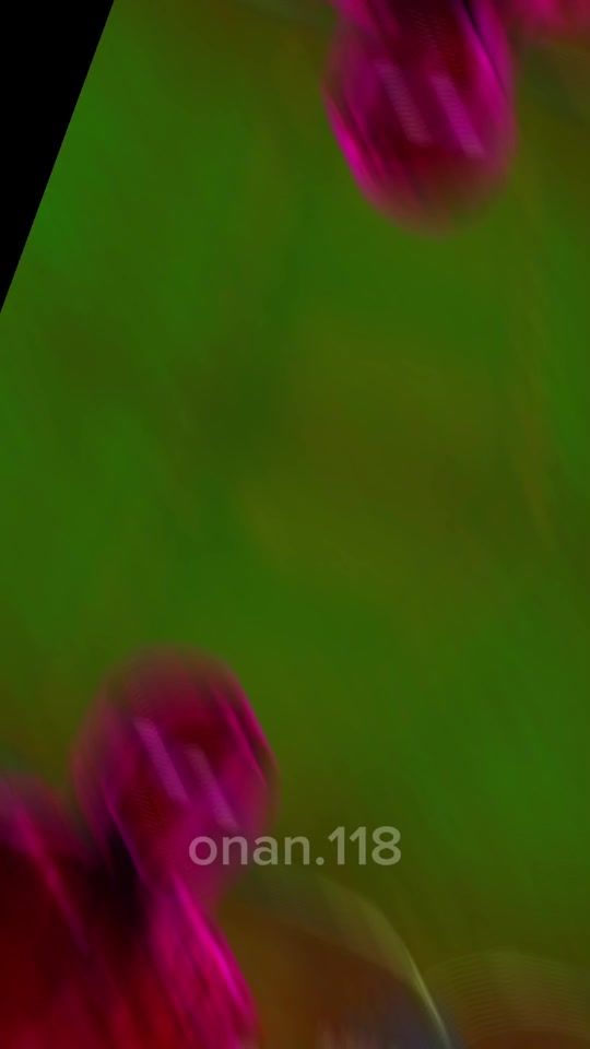 TikTok video thumbnail by onan.118