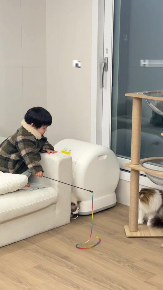 TikTok video thumbnail by ringo.mln
