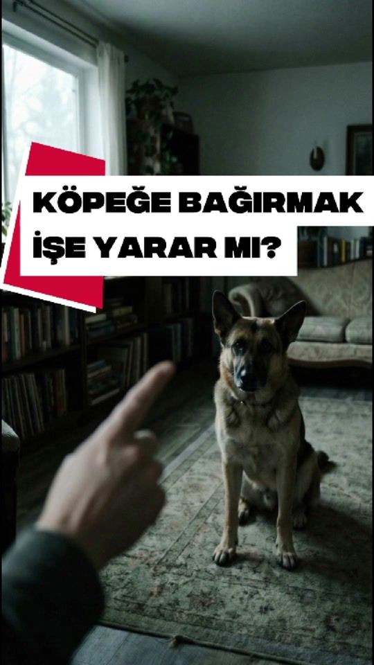 TikTok video thumbnail by verpatini