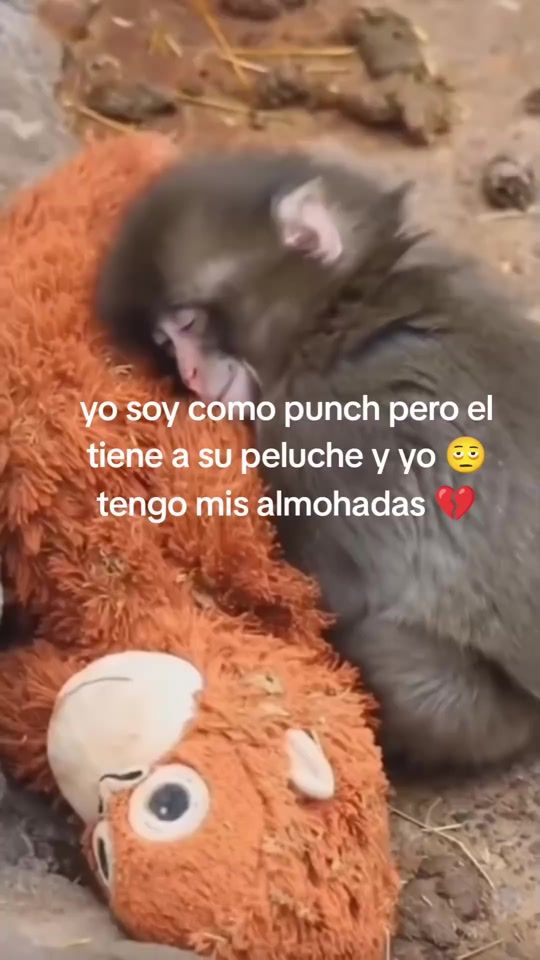 TikTok video thumbnail by may_antonio1