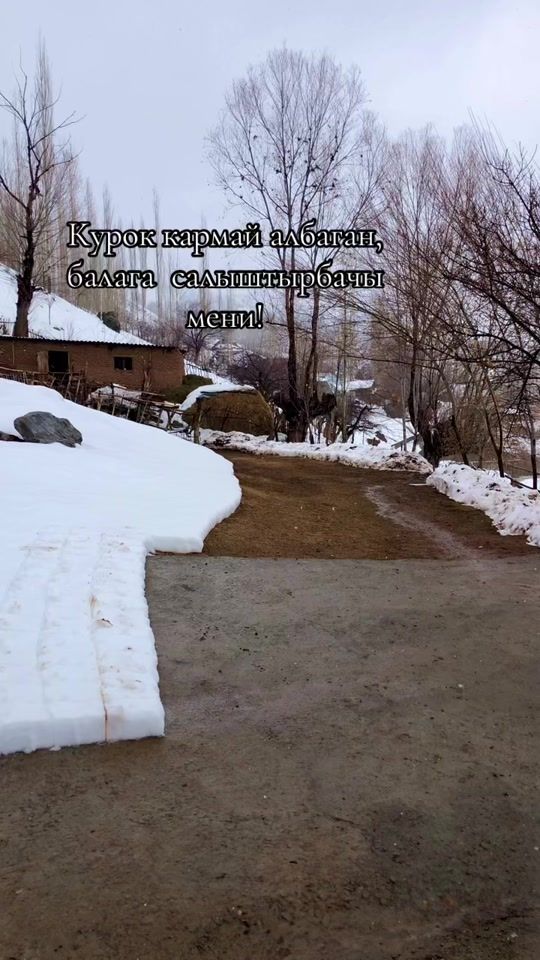 TikTok video thumbnail by _alatooluk_jigit