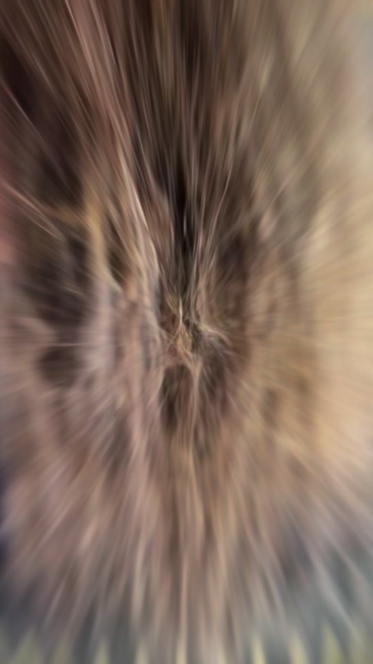 TikTok video thumbnail by seren73.73