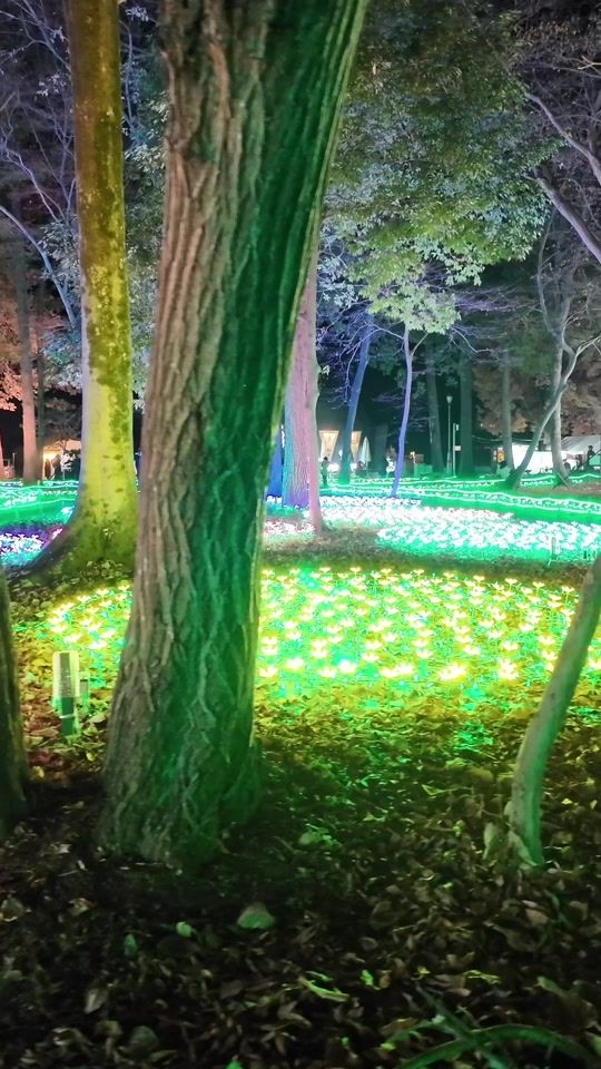 TikTok video thumbnail by traveler12310606