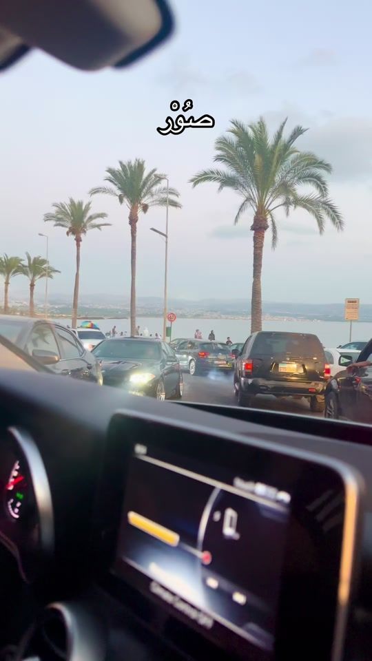 TikTok video thumbnail by niveenkhalil_