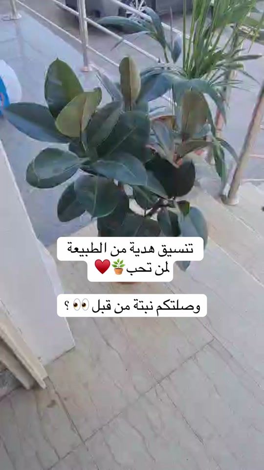 TikTok video thumbnail by abozain494