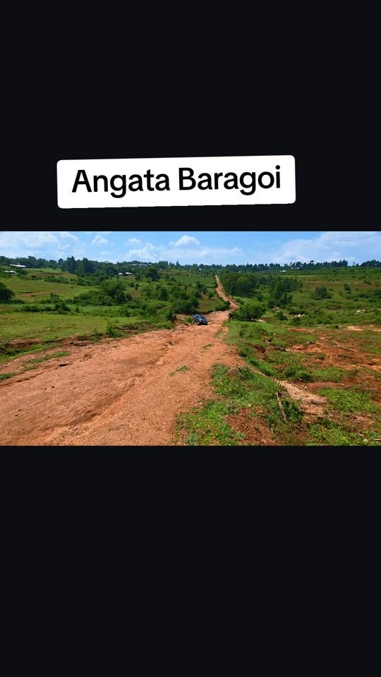 TikTok video thumbnail by shadiibundiyotmetroplex