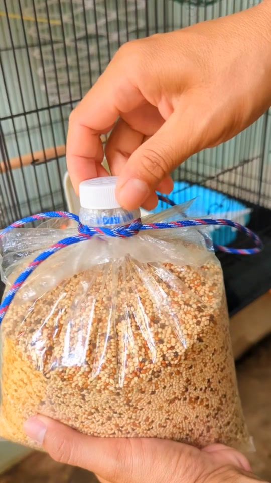 TikTok video thumbnail by sokhadiy