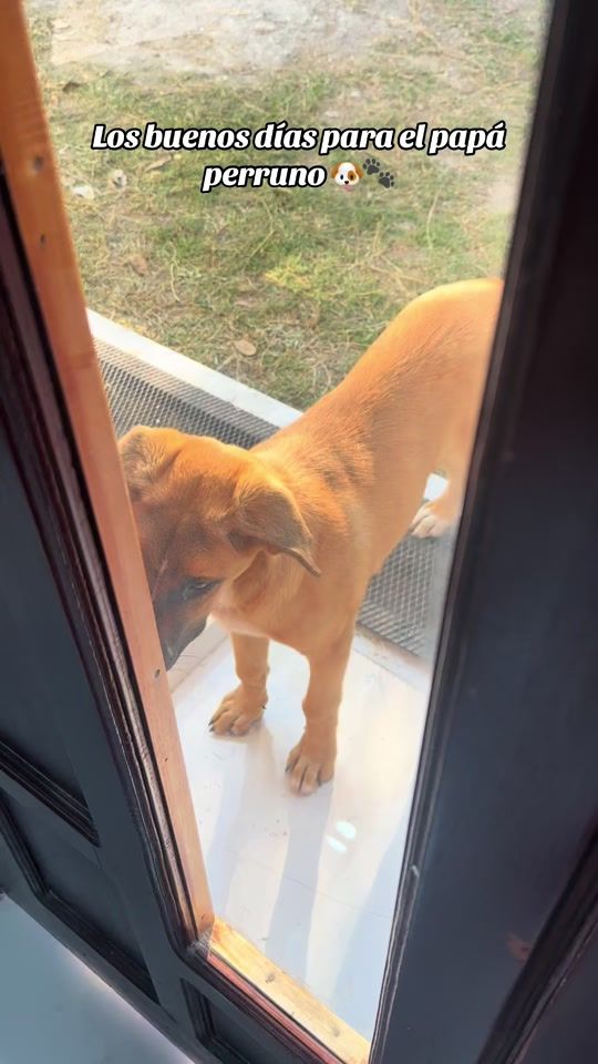TikTok video thumbnail by letty_rod