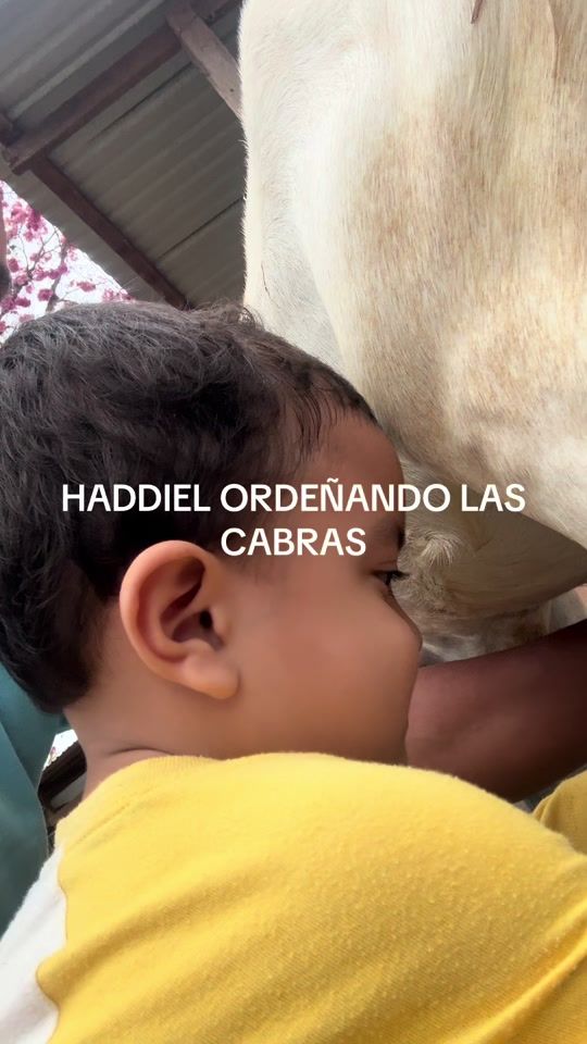 TikTok video thumbnail by adelsodukevalle