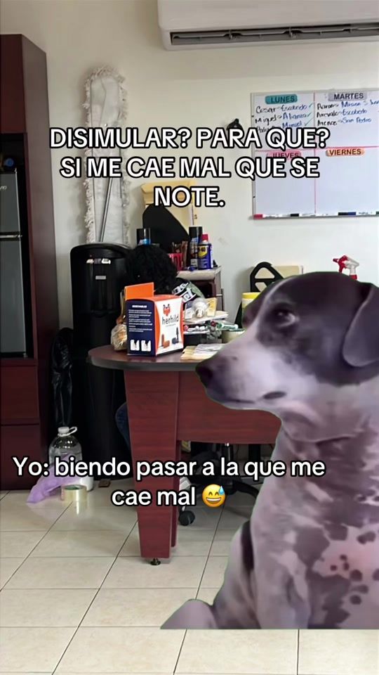 TikTok video thumbnail by eljohnofic