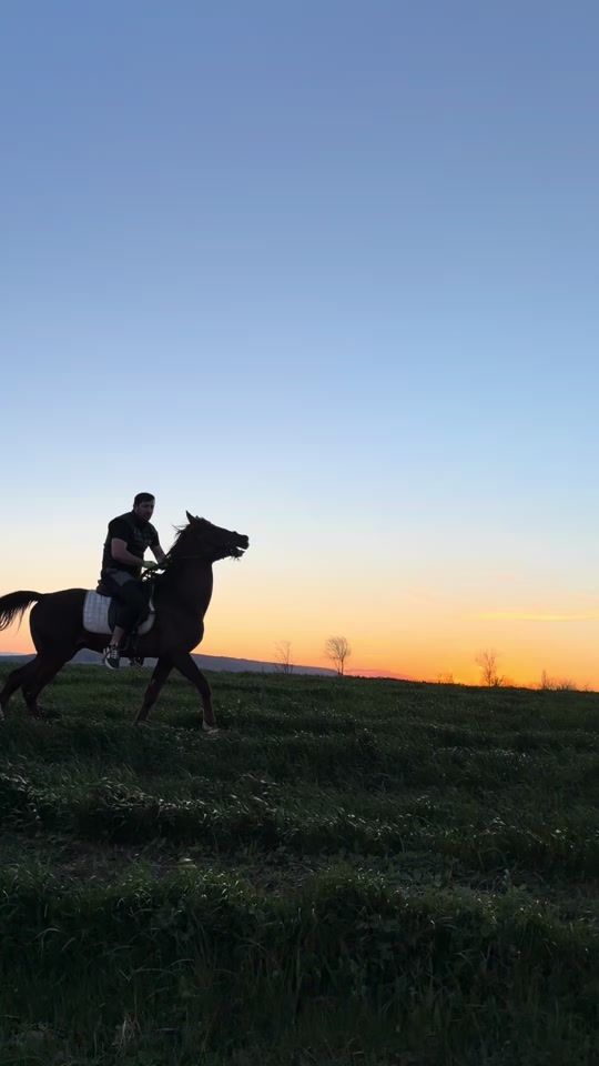TikTok video thumbnail by svani_svn