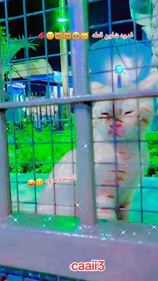 TikTok video thumbnail by caaii3