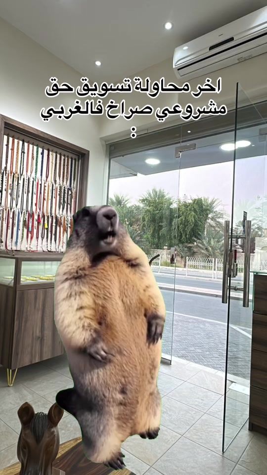 TikTok video thumbnail by msabe7_alkair