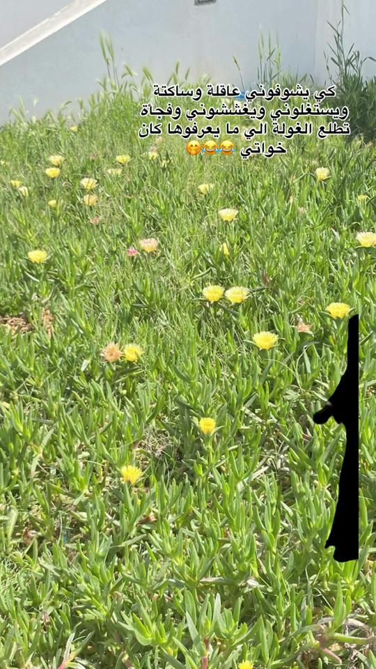 TikTok video thumbnail by is.lm23