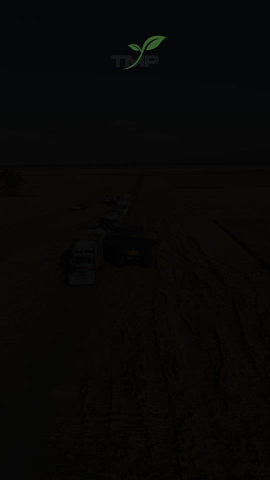 TikTok video thumbnail by _tmphoto