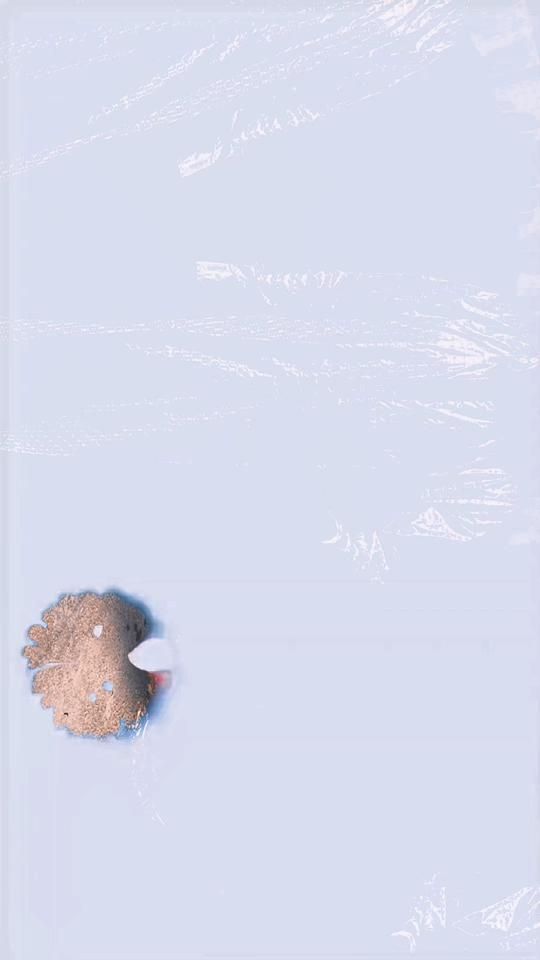 TikTok video thumbnail by fffff29126