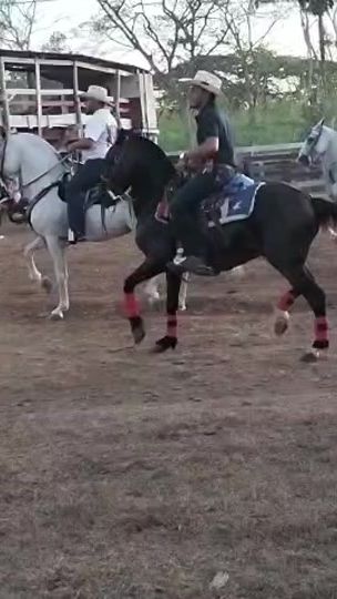 TikTok video thumbnail by moraga25f