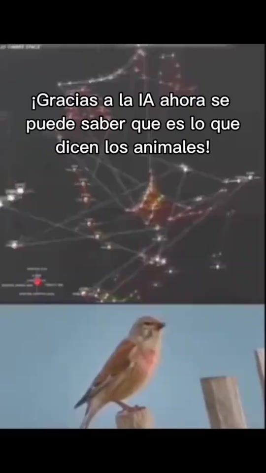 TikTok video thumbnail by pri_nacional