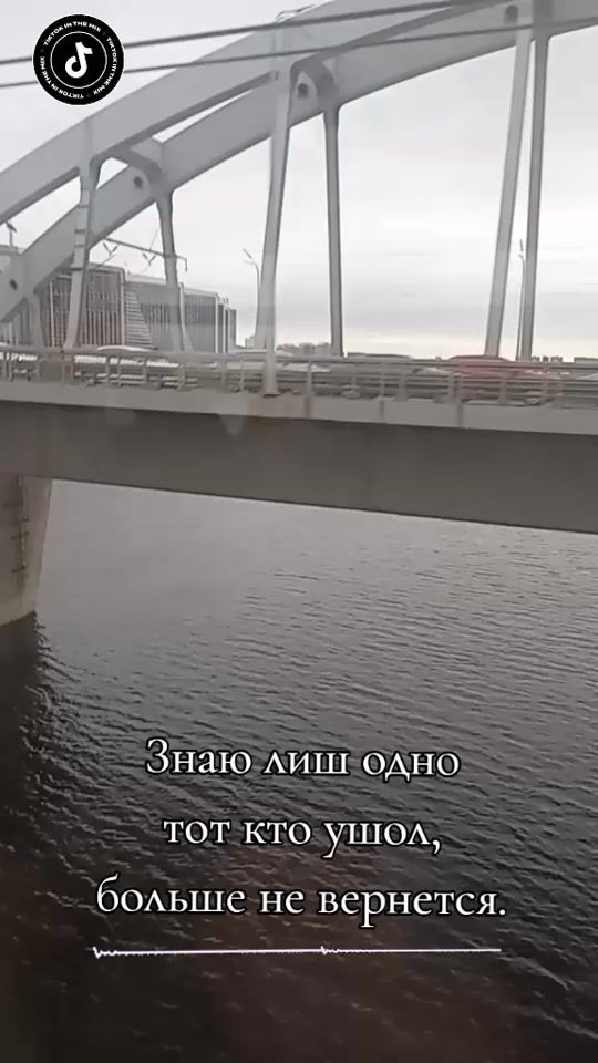 TikTok video thumbnail by user48160869637686
