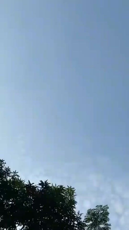 TikTok video thumbnail by noyne4471