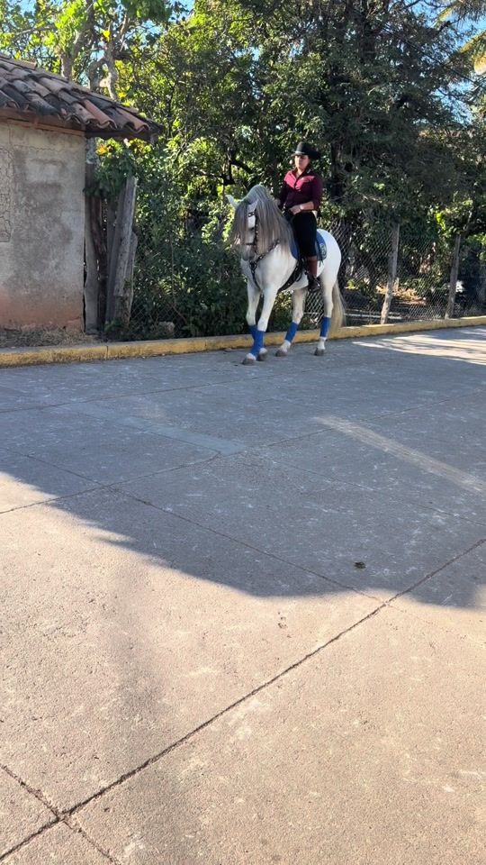 TikTok video thumbnail by aleortez_89