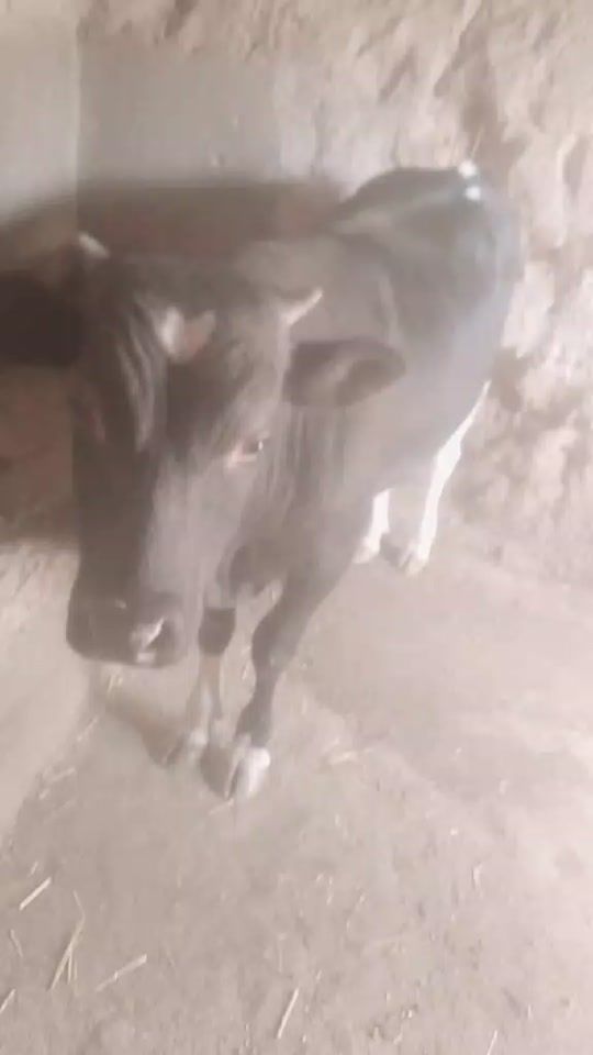 TikTok video thumbnail by say.that.akbar