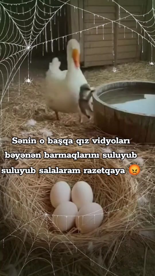TikTok video thumbnail by guni_292