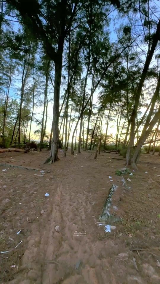 TikTok video thumbnail by hithumathe_