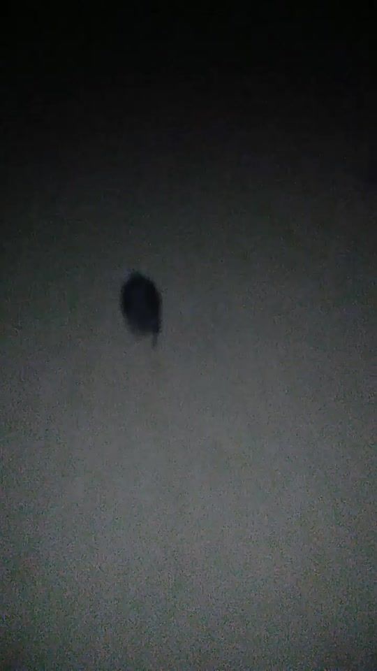 TikTok video thumbnail by user8036139163370