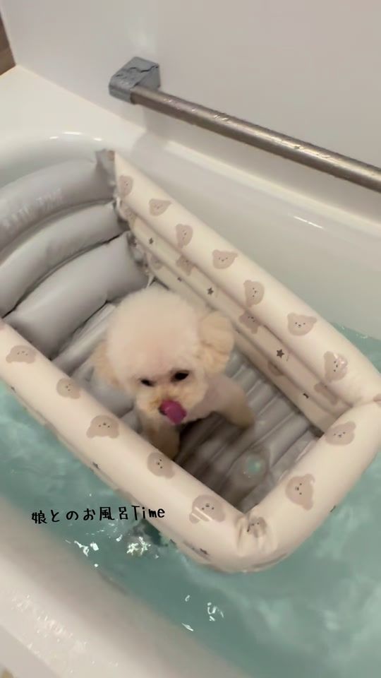 TikTok video thumbnail by mona2018.11.25