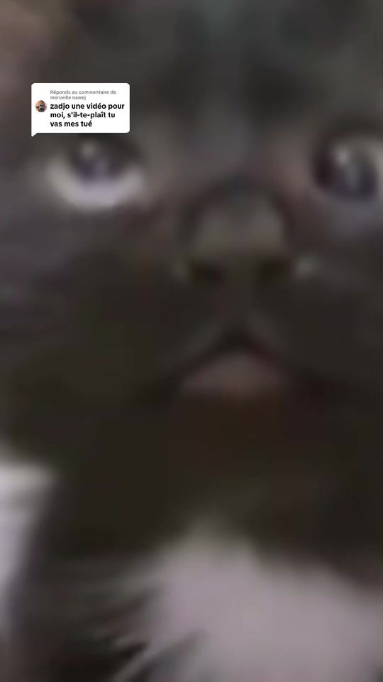 TikTok video thumbnail by sergemby02