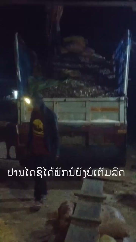 TikTok video thumbnail by usersc1bsipzm0