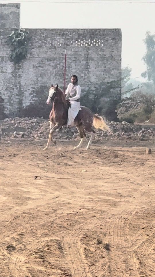 TikTok video thumbnail by rajbakhtiargondal1
