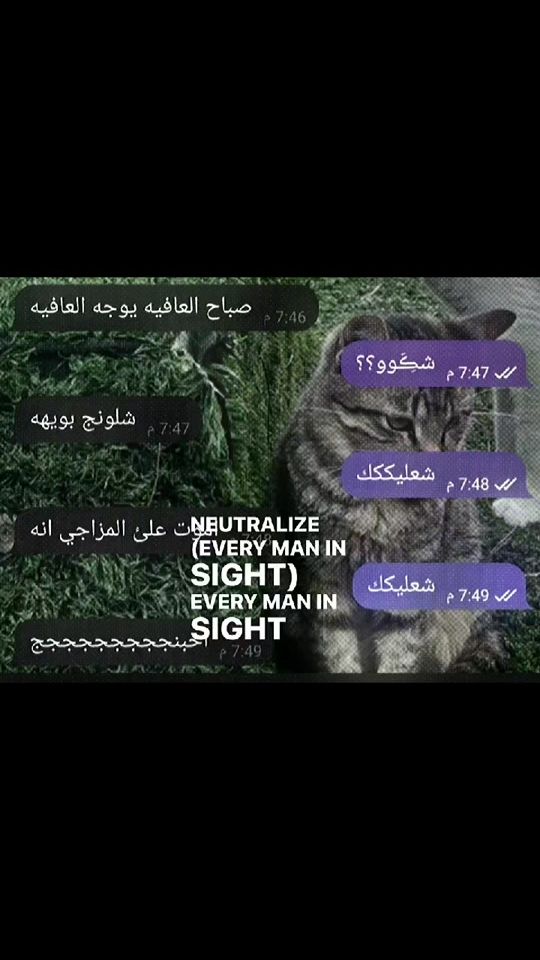 TikTok video thumbnail by noor11299