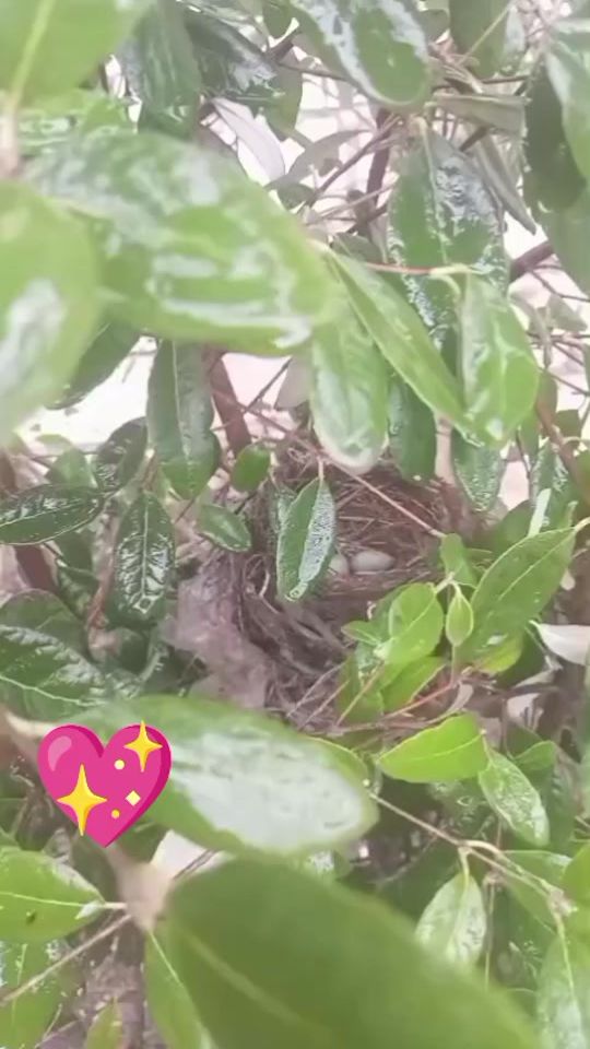 TikTok video thumbnail by xeyyam_8