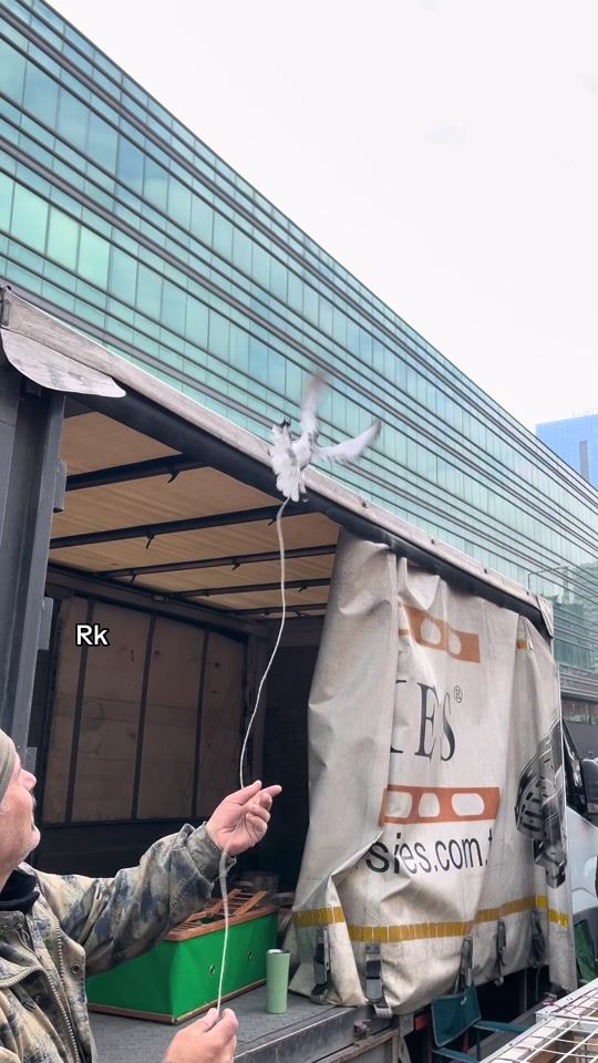 TikTok video thumbnail by thr34.j