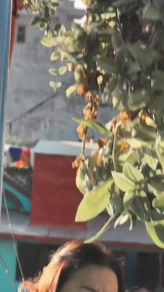 TikTok video thumbnail by rani_acharya