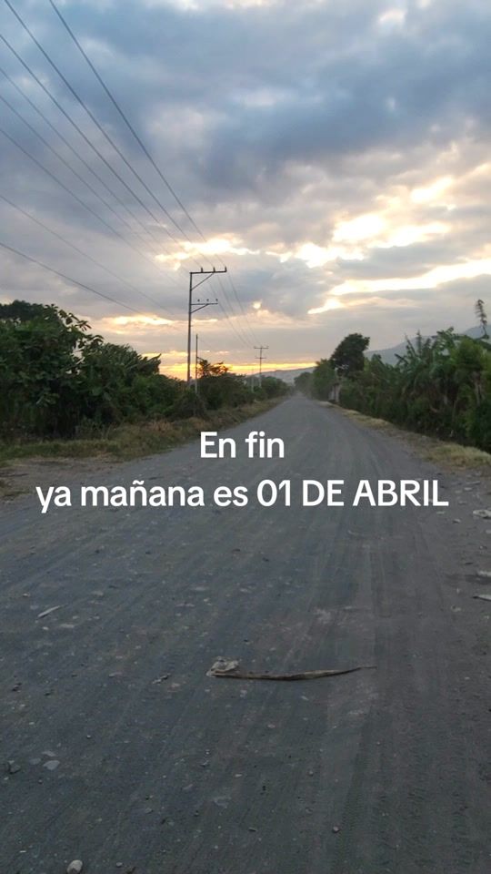 TikTok video thumbnail by cantonfloramarilla