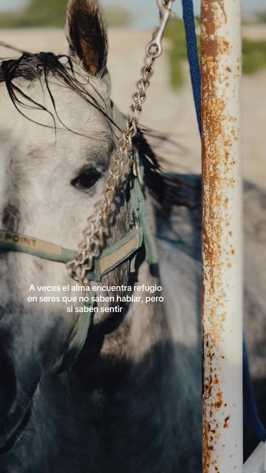 TikTok video thumbnail by mtcj__1