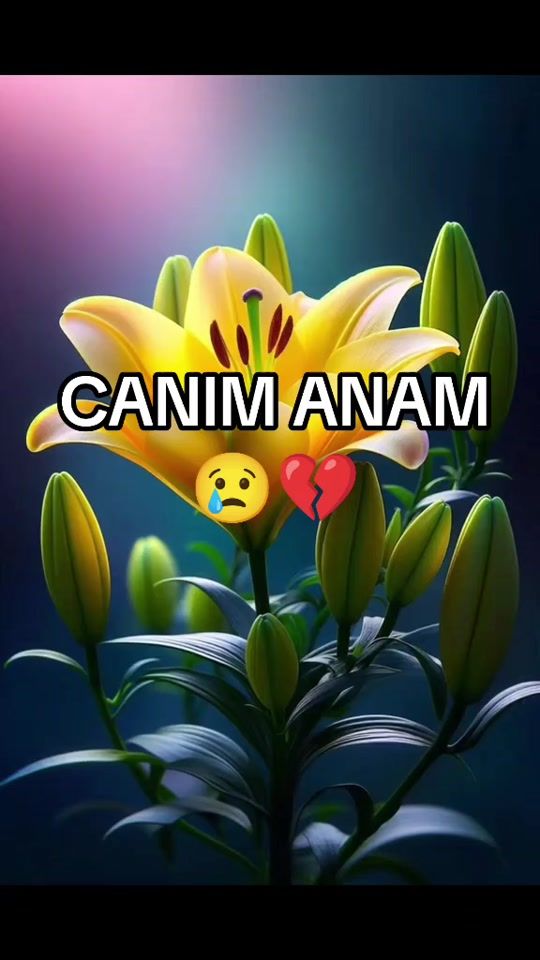 TikTok video thumbnail by ana_hesreti_05_11_2019