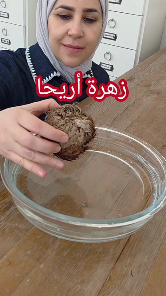 TikTok video thumbnail by growitgreen