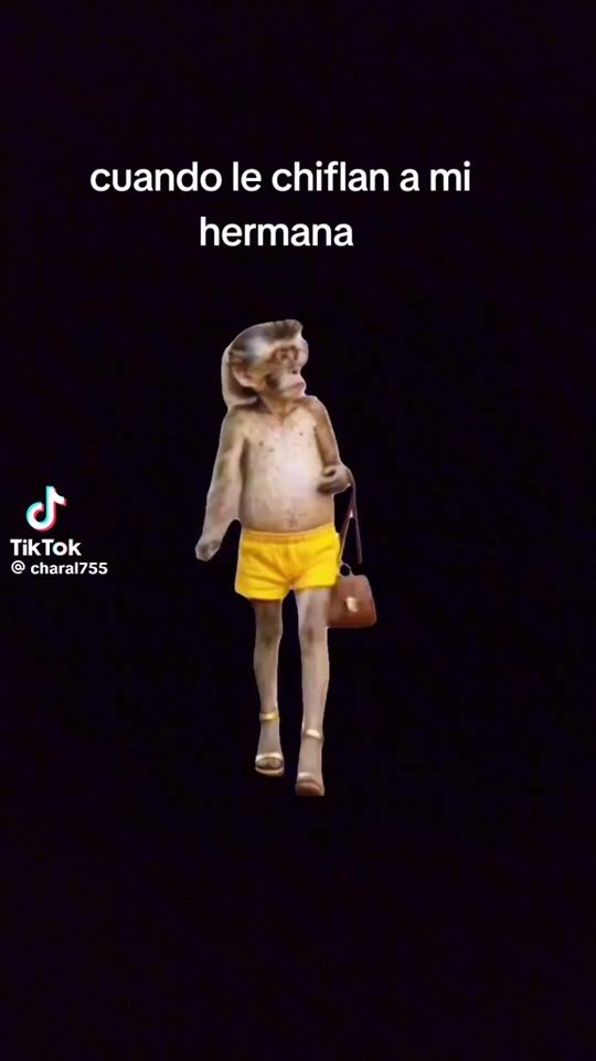 TikTok video thumbnail by viraleusebio