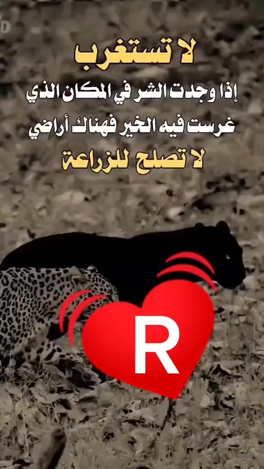 TikTok video thumbnail by user4578048650580