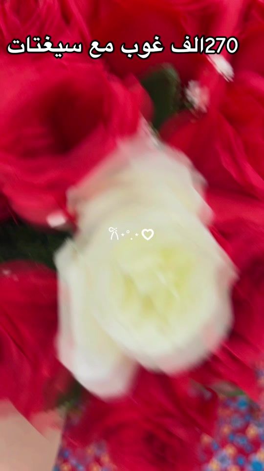 TikTok video thumbnail by am_collection167