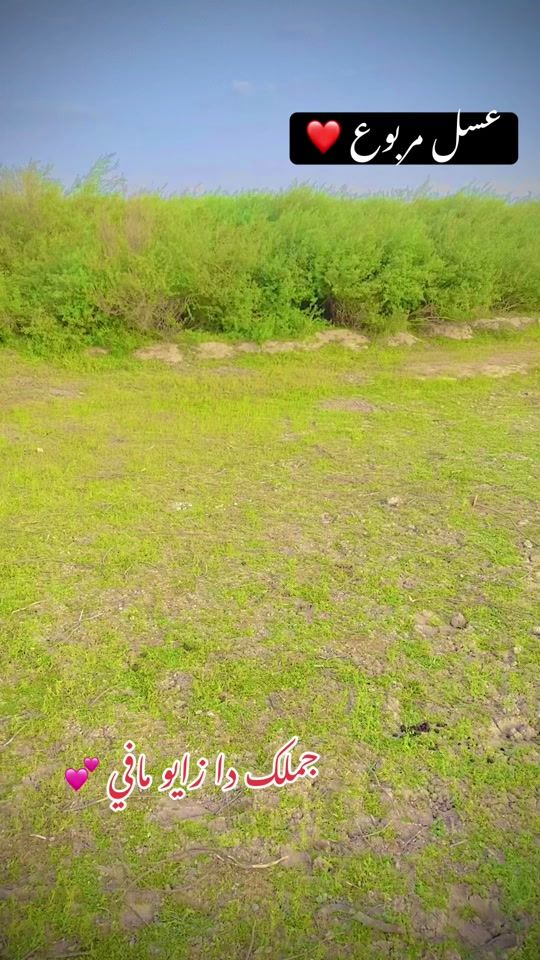 TikTok video thumbnail by maazabdalla4