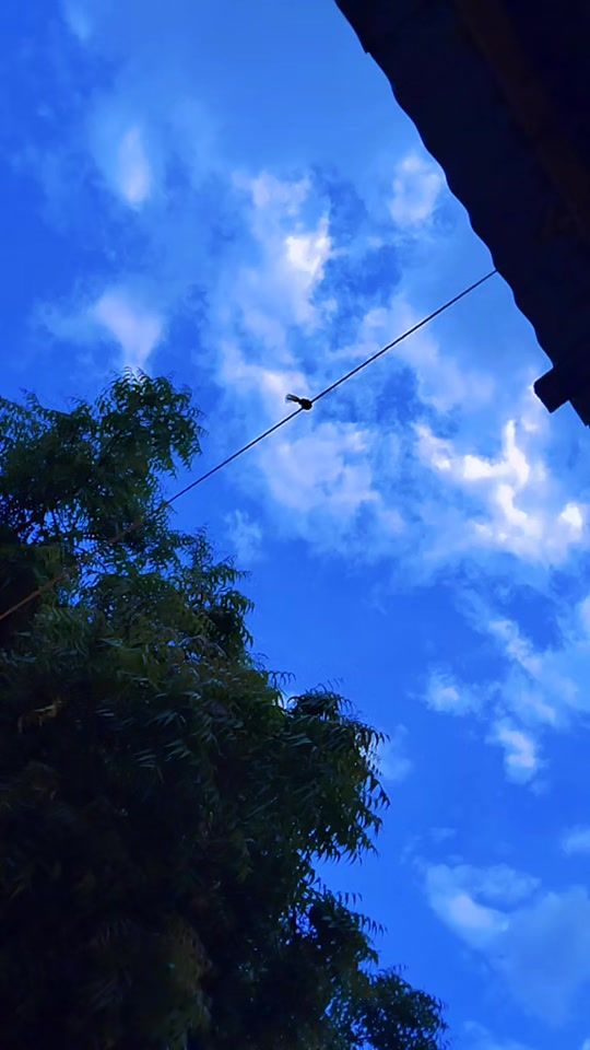 TikTok video thumbnail by ayaanxasan155