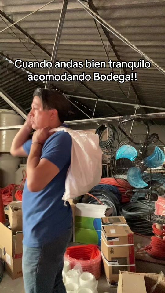 TikTok video thumbnail by bodegadelplomerogdl