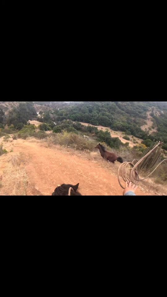 TikTok video thumbnail by andrestapia27